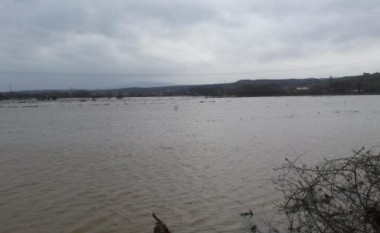 Sitnica vërshon shtëpi dhe qindra hektarë tokë