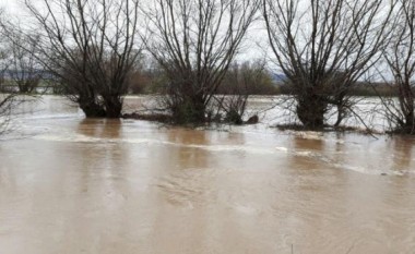 Bujqit e dëmtuar nga vërshimet të pakënaqur me kompensimet (Video)