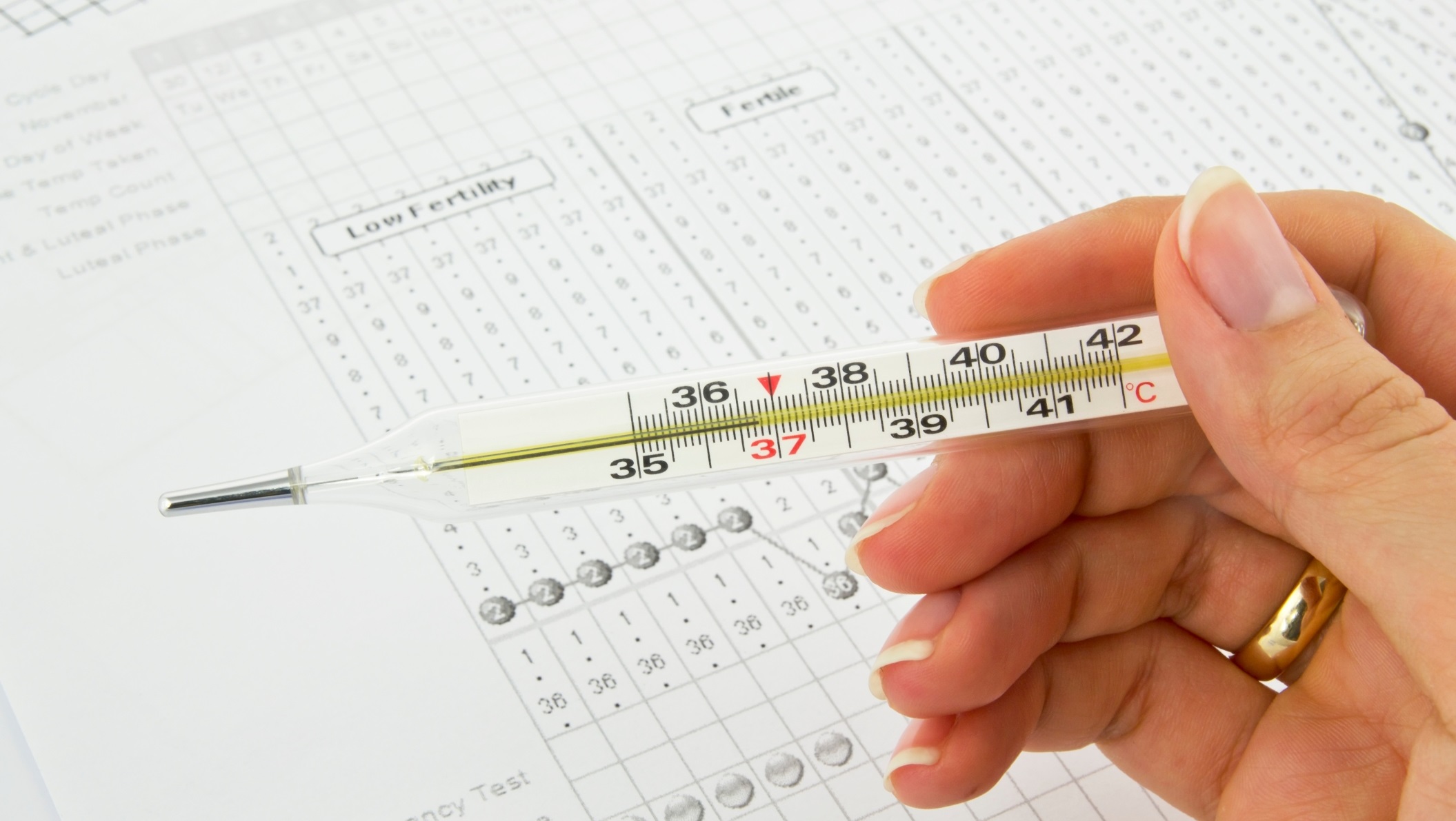 Thermometer, graphs and fertility chart
