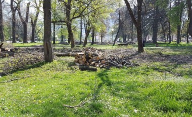 Priten drunjë në parkun e madh në Gostivar (Foto)