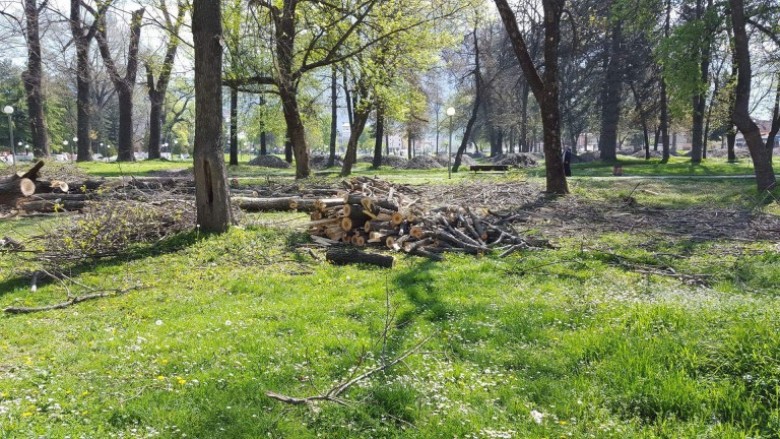 Priten drunjë në parkun e madh në Gostivar (Foto)