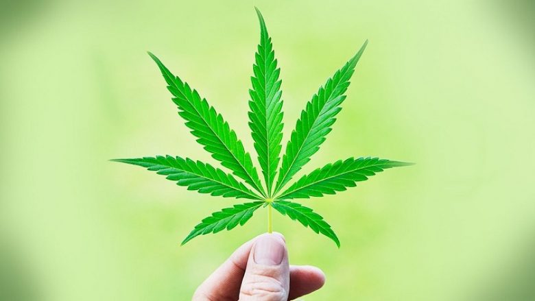 Konfiskohen 8 kg marihuanë në ‘Bogorodicë’