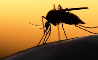 ISHP: Nuk ka virus Zika në Maqedoni