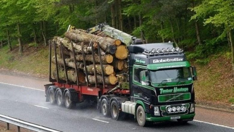 Transportonte paligjshëm drunj me targa të falsifikuara