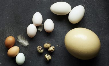 Çfarë domethënie kanë shenjat S, A dhe B në vezë