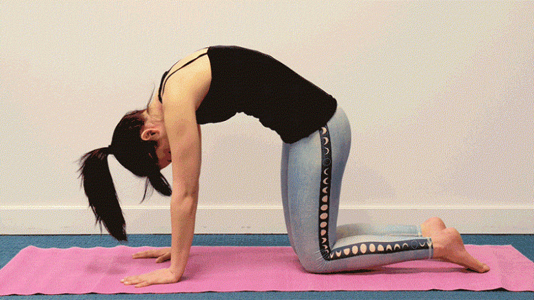 Pesë lëvizje joga që mund t’i bëni çdo ditë