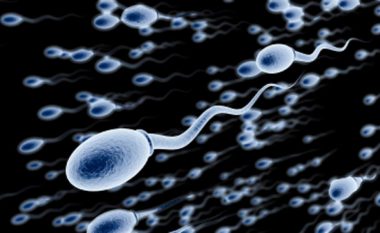 Pesë fakte për spermën që nuk i keni ditur