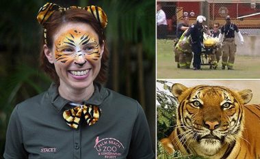“Tigresha” vdes pasi kafshohet nga një tigër (Foto)