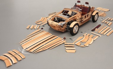 Veturë prej druri nga Toyota (Foto)