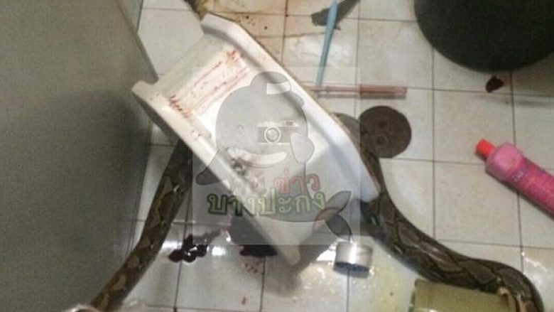 Pamje të tmerrshme: Gjarpri i kafshon penisin 38 vjeçarit – në banjë!  (Foto/Video,+16)
