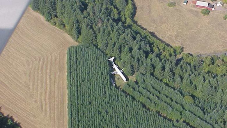 Fotografuan aeroplanin që kishte aterruar në mes të malit, por kur shikuan se çfarë kishte brenda mbetën të shokuar (Foto/Video)