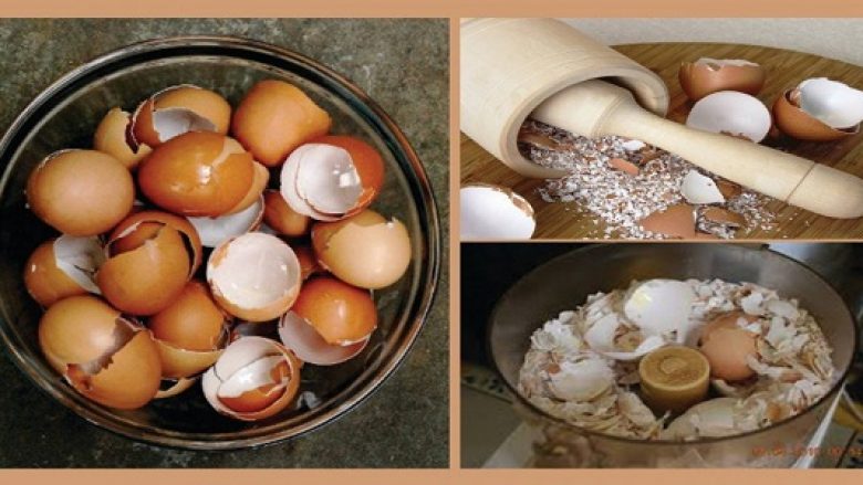 Lëvoret e vezëve, të dobishme për shëndetin!
