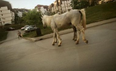 Kur kuajt shëtisin rrugëve të Prishtinës (Video)