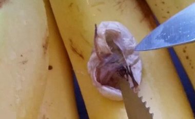 Shikoni reagimin e një burri kur gjen merimangën në pakon e bananeve (Video)