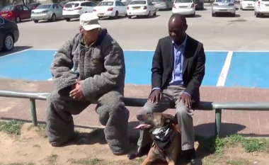 Shikoni se si qeni mbron pronarin e tij nga ‘sulmi me thikë’ (Video)