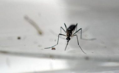 Vdekja e parë nga virusi Zika në Francë