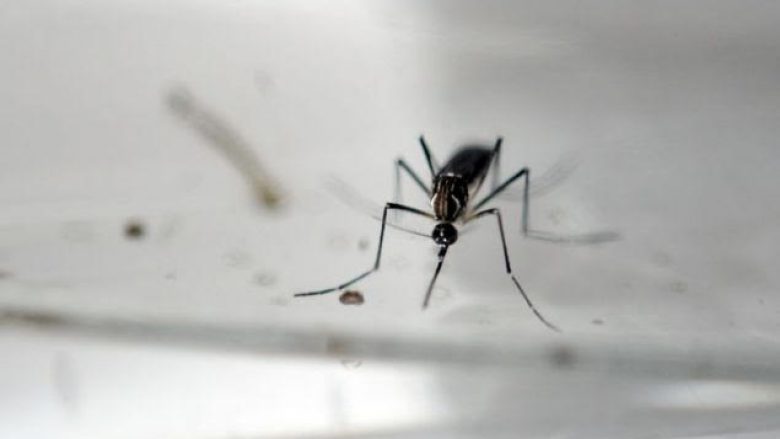 Vdekja e parë nga virusi Zika në Francë
