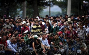 Zbulohen dy migrantë ilegal afër Demir Kapis