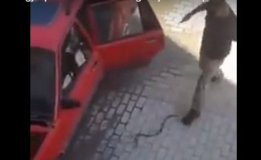 Shoferit nga Klina, i del gjarpri nga vetura (Video)