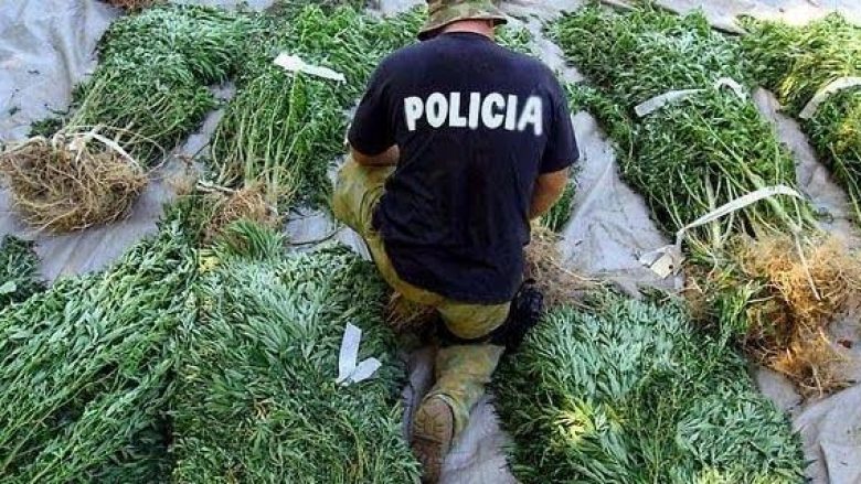 Ishte shpallur në kërkim për kultivimin e drogës, arrestohet 47-vjeçari në Kakavijë