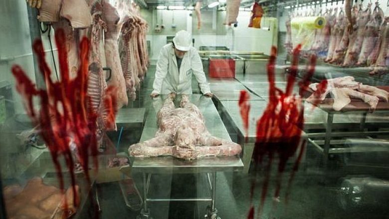 Kina mohon akuzat për përpunim të kufomave në fabrikat e mishit