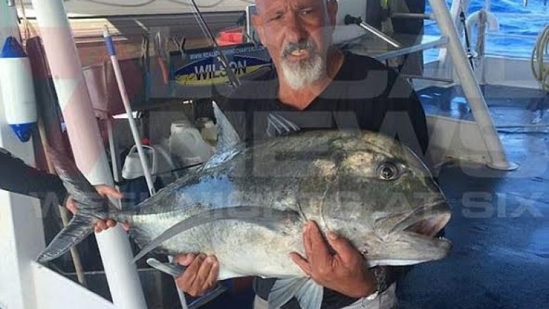 Peshkatari këmbëngulës, nxori me vështirësi peshkun që peshon 30 kilogramë (Video)