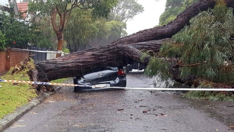 Australi, përmbytje dhe evakuime në masë (Video)