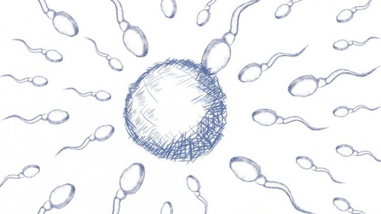 Si mund ta përmirësoni kualitetin e spermës?