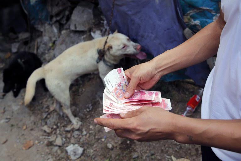 epa05378670 A vendor counts money as he sells a dog at a market in Yulin city, southern China's Guangxi province, 20 June 2016. Yulin dog meat festival will fall on 21 June 2016, the day of summer solstice, a day that many local people celebrate by eating dog meat, causing escalating conflicts between activists and dog vendors.  EPA/WU HONG