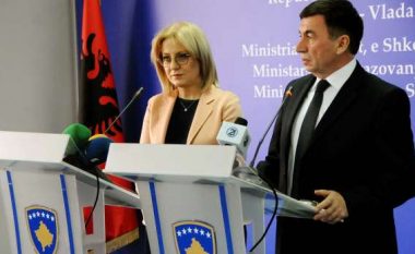 Diaspora pret mësimin shqip nga atdheu