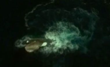 Çfarë është ky përbindësh i detit 120 metra i gjatë, që është kapur nga imazhet e Google Earth? (Video)