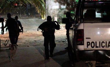 Masakër në Meksikë: Vriten 11 anëtarë të një familje