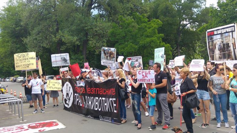 Qyteti i Shkupit i kundërpërgjigjet shoqatës ”Anima Mundi” për akuzat ndaj trajtimit të kafshëve të pastreha