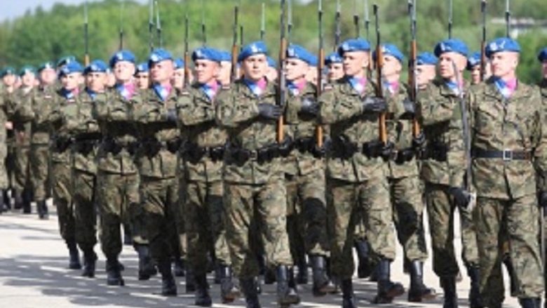 Pjesëtarët e ARM marrin pjesë në stërvitjen ndërkombëtare „Anakonda 2016“