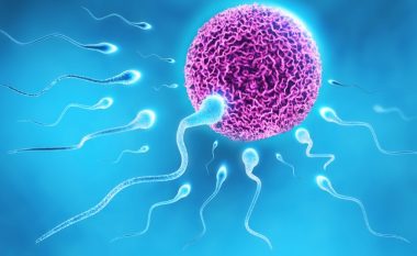 Katër fakte interesante për spermën që çdo mashkull duhet t’i dijë