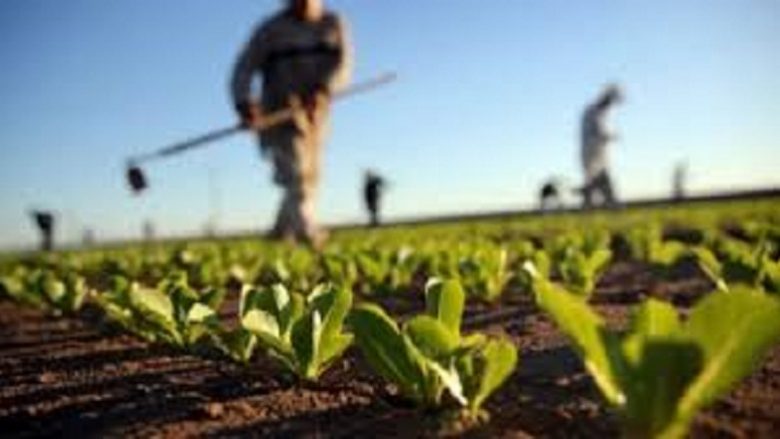 Ministri Mustafa tregon se kur do të bëhen pagesat e subvencioneve për bujqit për vitin 2019