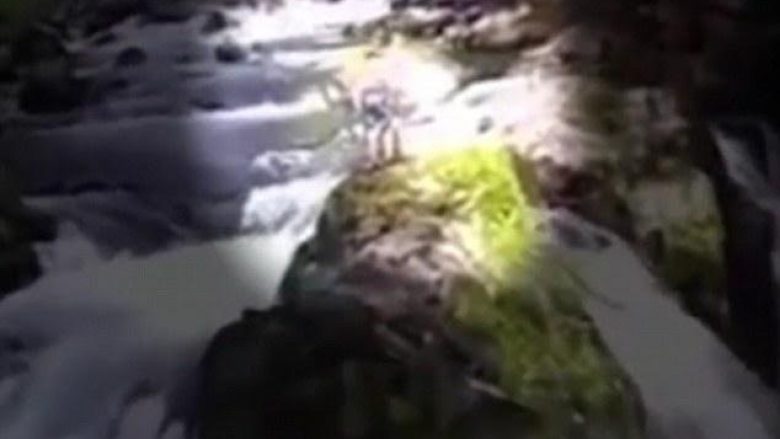 Rrëzohet nga tri ujëvara, shpëton mrekullisht me vetëm një nyje të thyer (Video)
