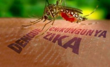 Zbulohen antitrupat e aftë të neutralizojnë virusin Zika