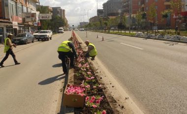 Komuna e Fushë Kosovës harxhon 3 mijë euro për lule (Foto)
