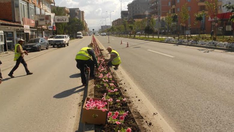 Komuna e Fushë Kosovës harxhon 3 mijë euro për lule (Foto)