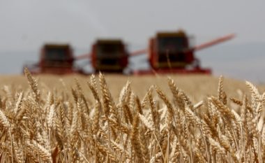 Të konsumohet buka e Kosovës, të ndalet importi i grurit
