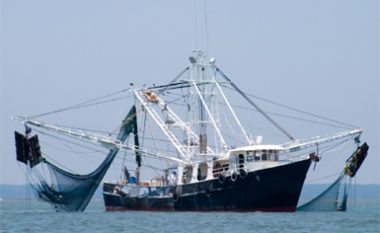 Anija e rrëmbyer shqiptare ndodhet në Egjipt, kërkohen 70 mijë euro