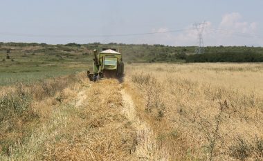 Fillon fushata e korrje – shirjeve, paralajmërohet rritje e rendimentit