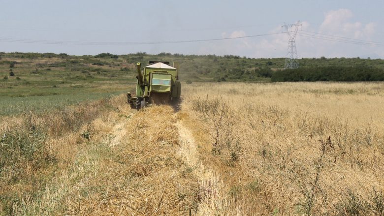 Fillon fushata e korrje – shirjeve, paralajmërohet rritje e rendimentit