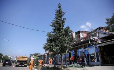 Lirohet trotuari te Fakulteti Teknik (Foto)