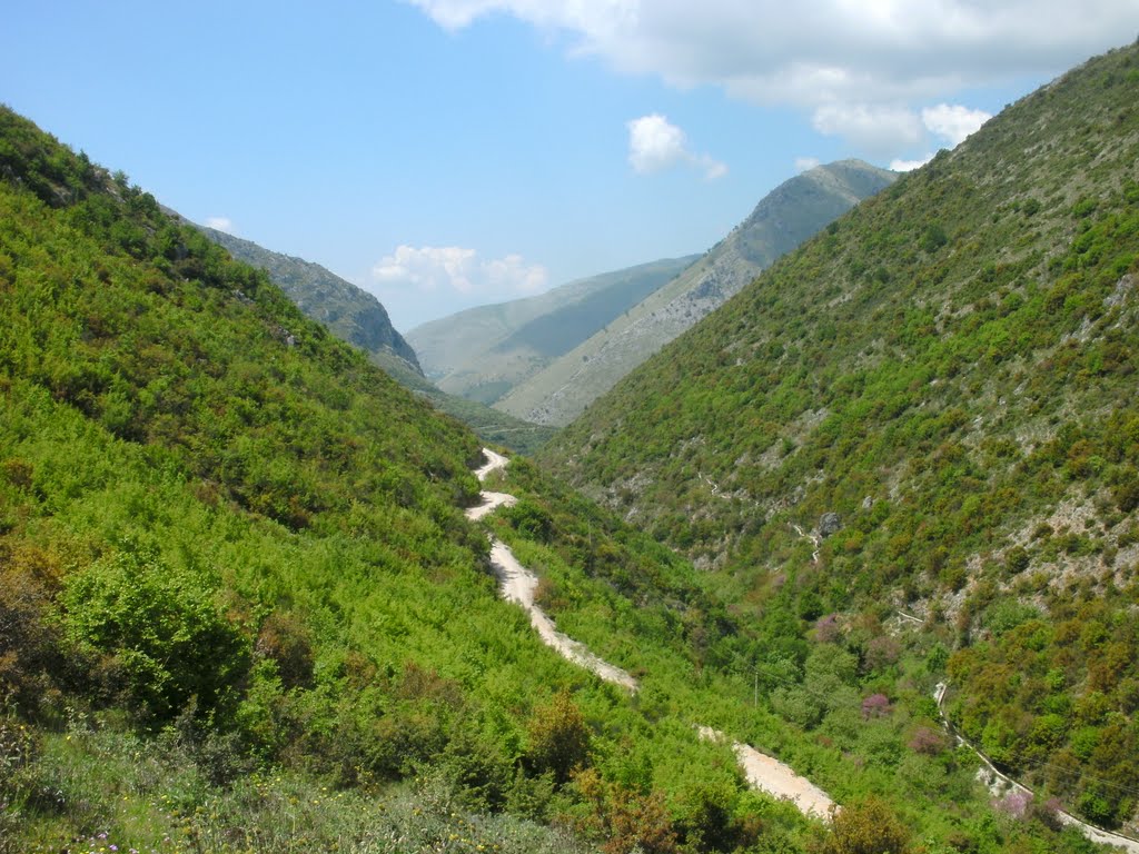 Kanioni i Leshnicës
