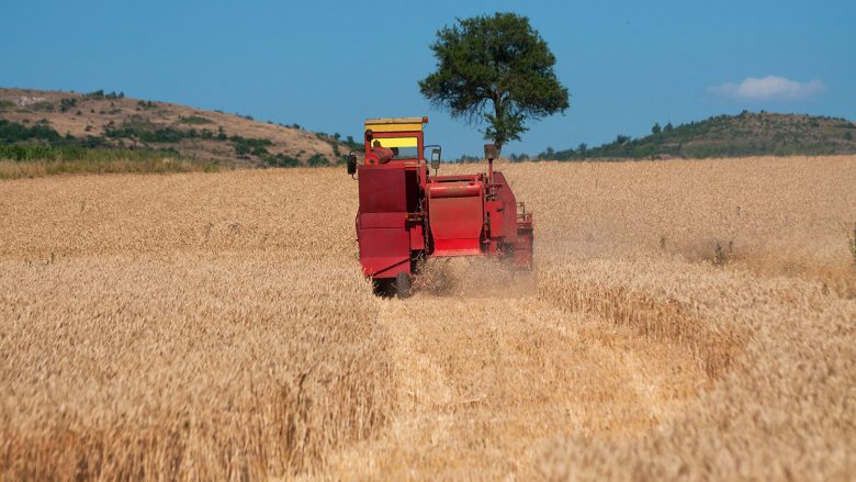 Ka nisur fushata e korrje-shirjeve, sivjet priten rendimente më të larta