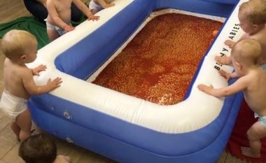Organizon aheng fëmijësh me pishinë të mbushur me fasule, por pendohet menjëherë (Foto)