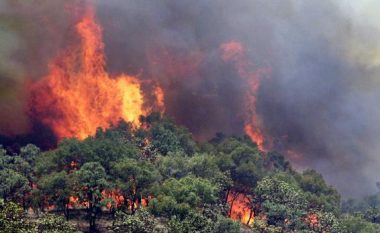 Një zjarr i madh përfshinë Shqipërinë