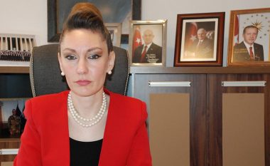 Grusht-shteti turk sipas ambasadores Kiliç